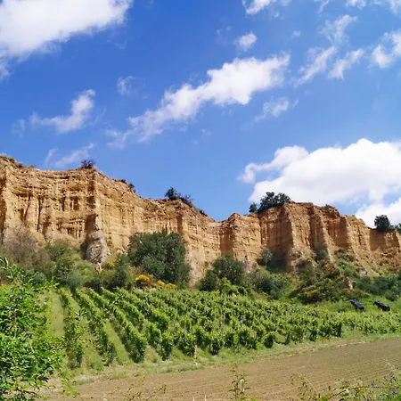 Palagio 19 In Chianti With Shared Pool דירה *